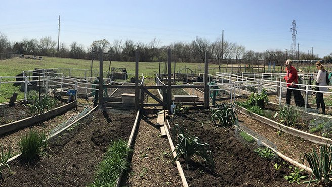 Plano Community Garden